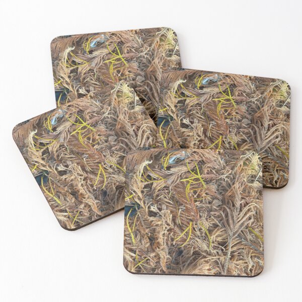 Item preview, All The Leaves Are Brown designed and sold by Easley-Does-It.