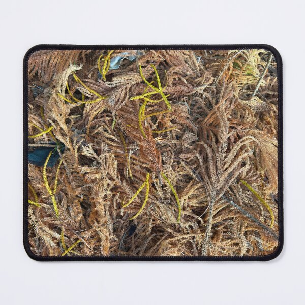 Item preview, All The Leaves Are Brown designed and sold by Easley-Does-It.