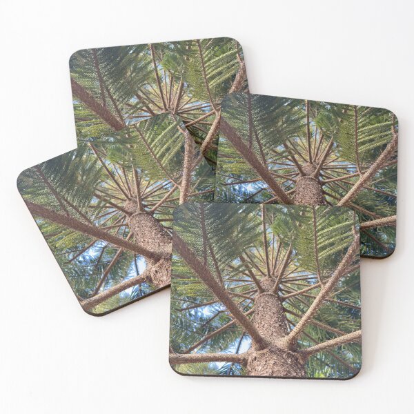 Item preview, Looking Up A Pine Tree Trunk designed and sold by Easley-Does-It.