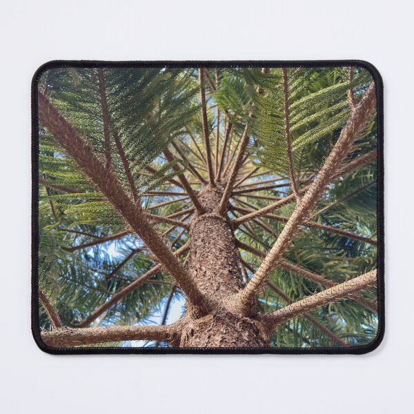 Item preview, Looking Up A Pine Tree Trunk designed and sold by Easley-Does-It.