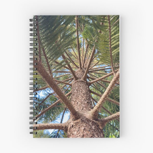 Item preview, Looking Up A Pine Tree Trunk designed and sold by Easley-Does-It.