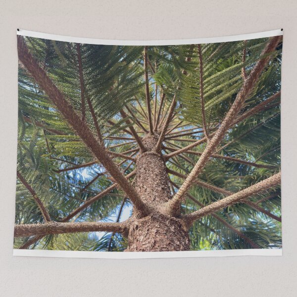Item preview, Looking Up A Pine Tree Trunk designed and sold by Easley-Does-It.