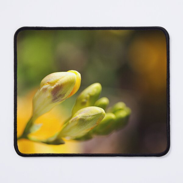 Item preview, Open Hand Freesia Spring designed and sold by Joy Watson - Natural Light Photography .