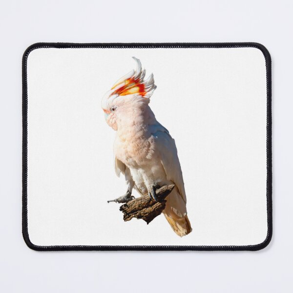 Item preview, Australian Native Birds - Major Mitchell Cockatoo designed and sold by Ozjanette90.