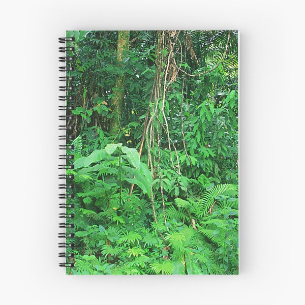 Item preview, Breathtaking Rainforest Jungle In Costa Rica Art Photo designed and sold by DEC02.