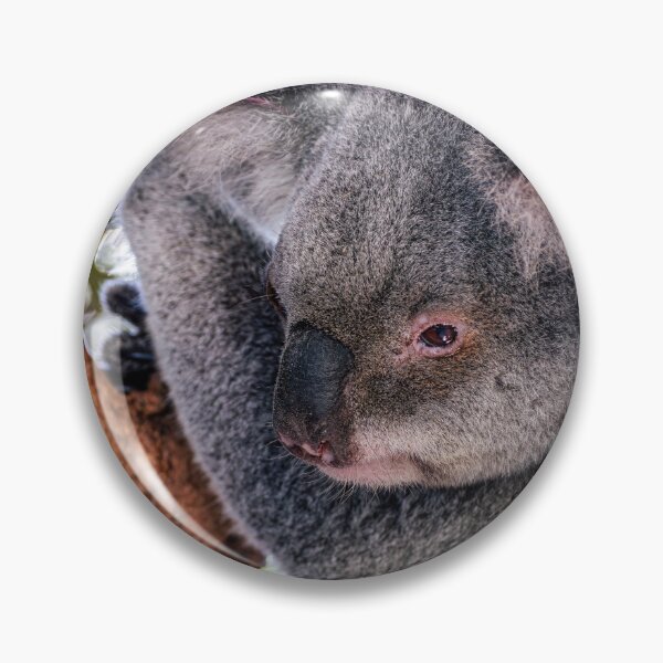 Item preview, Koala designed and sold by MillionPix.
