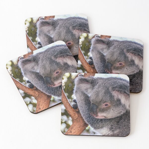 Item preview, Koala designed and sold by MillionPix.