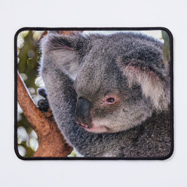 Item preview, Koala designed and sold by MillionPix.