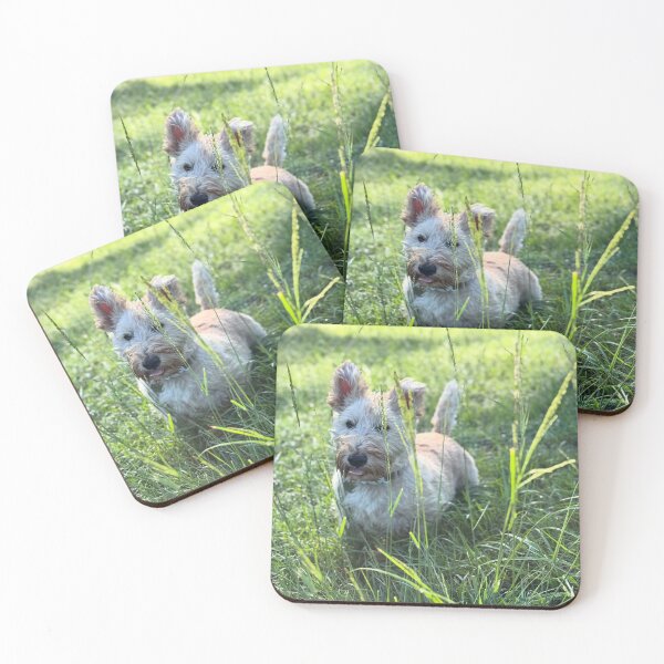 Item preview, Mucky puppy designed and sold by HouseOfScotti.