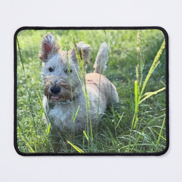 Item preview, Mucky puppy designed and sold by HouseOfScotti.