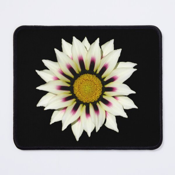 Item preview, Dark Sunburst White Gazania Featuring Black and Purple Accents Plus a Sunny Yellow Center Die Cut designed and sold by JoyousArt4u.