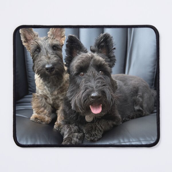 Item preview, Ulfyr and Macduff portrait designed and sold by HouseOfScotti.