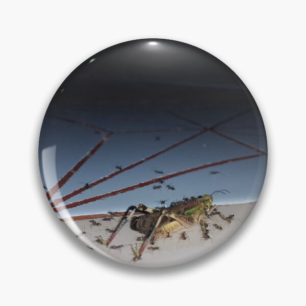 Item preview, Dead grasshopper carried by ants on the floor. designed and sold by Yusuf-Design.