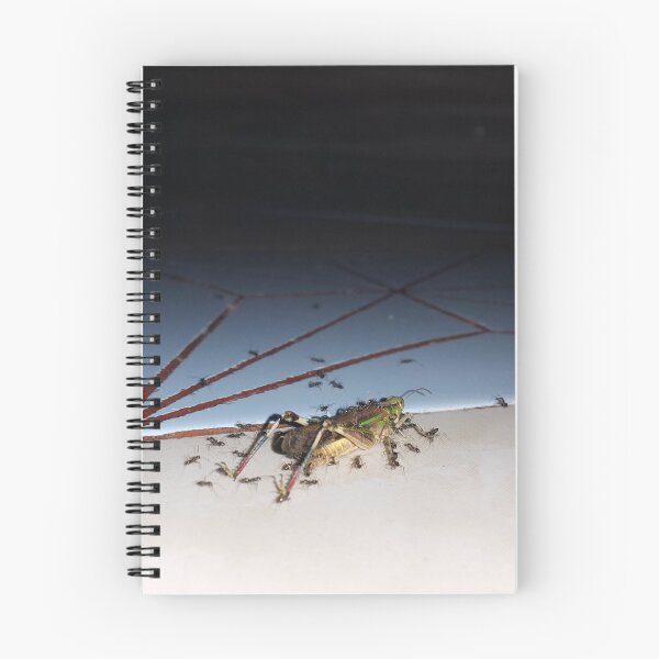 Item preview, Dead grasshopper carried by ants on the floor. designed and sold by Yusuf-Design.