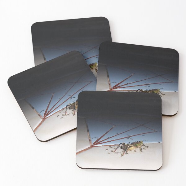 Item preview, Dead grasshopper carried by ants on the floor. designed and sold by Yusuf-Design.