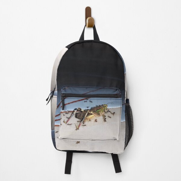 Item preview, Dead grasshopper carried by ants on the floor. designed and sold by Yusuf-Design.
