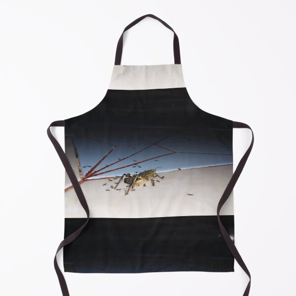 Item preview, Dead grasshopper carried by ants on the floor. designed and sold by Yusuf-Design.