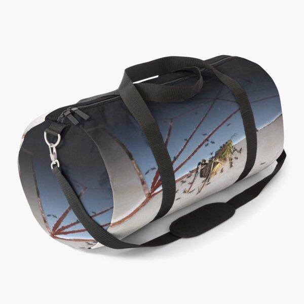 Item preview, Dead grasshopper carried by ants on the floor. designed and sold by Yusuf-Design.