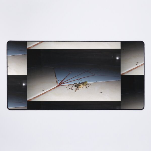 Item preview, Dead grasshopper carried by ants on the floor. designed and sold by Yusuf-Design.