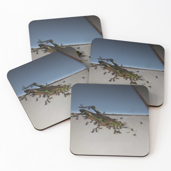 Item preview, Close up, Dead grasshopper carried by ants on the floor. Perfect for Animal Lovers who love Grasshoppers designed and sold by Yusuf-Design.