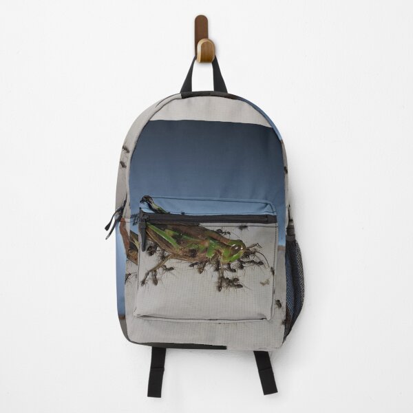 Item preview, Close up, Dead grasshopper carried by ants on the floor. Perfect for Animal Lovers who love Grasshoppers designed and sold by Yusuf-Design.