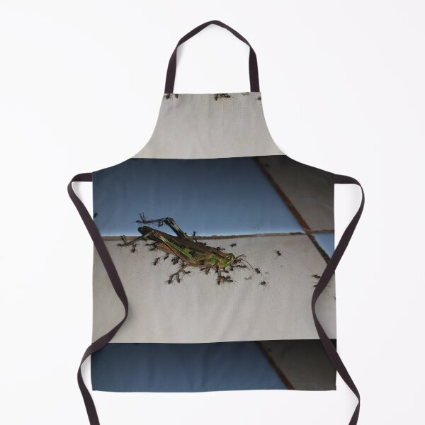 Item preview, Close up, Dead grasshopper carried by ants on the floor. Perfect for Animal Lovers who love Grasshoppers designed and sold by Yusuf-Design.