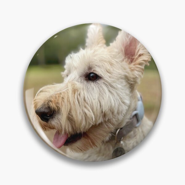 Item preview, Flashheart in the paddock designed and sold by HouseOfScotti.