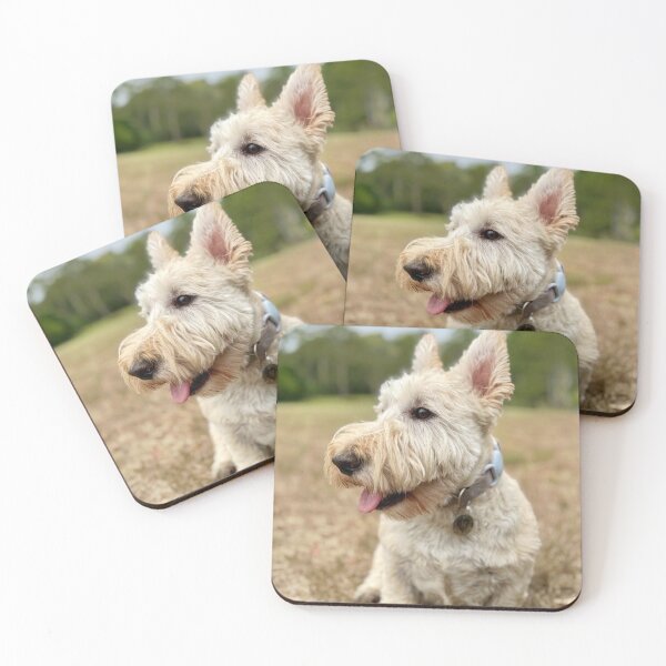 Item preview, Flashheart in the paddock designed and sold by HouseOfScotti.