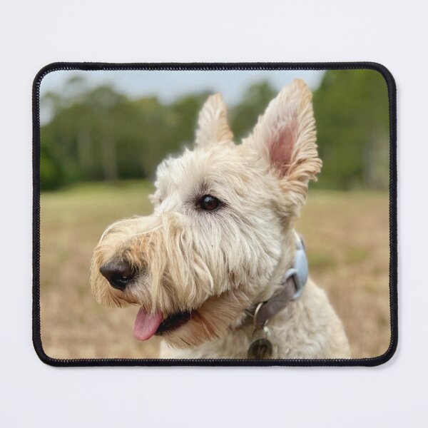 Item preview, Flashheart in the paddock designed and sold by HouseOfScotti.