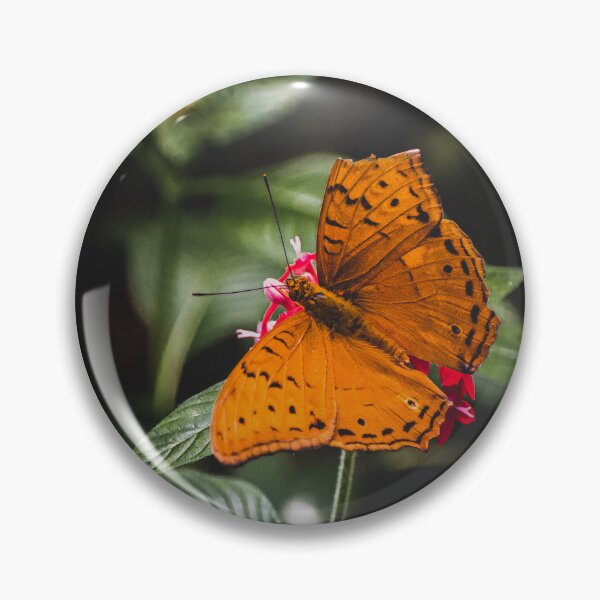 Item preview, The Orange butterfly designed and sold by MillionPix.