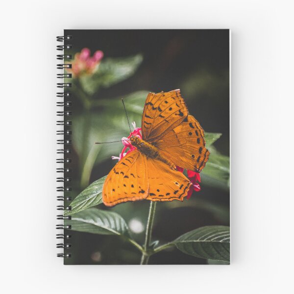 Item preview, The Orange butterfly designed and sold by MillionPix.