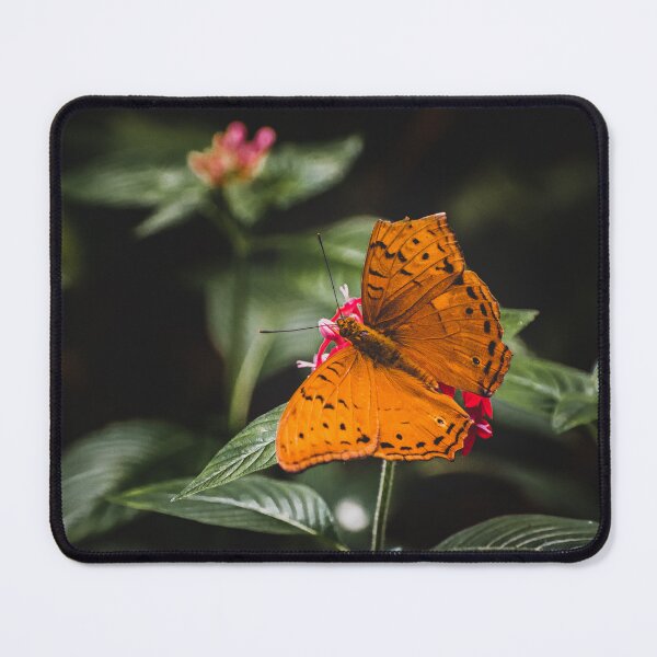 Item preview, The Orange butterfly designed and sold by MillionPix.