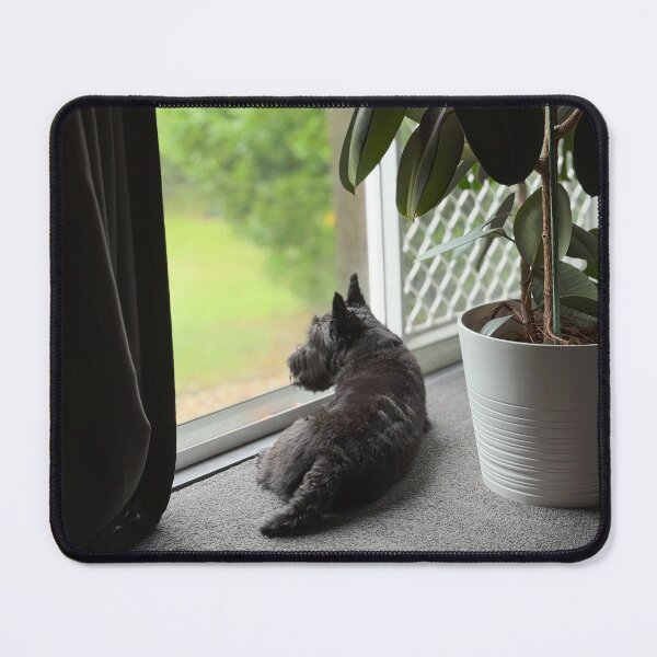 Item preview, Macduff by the window designed and sold by HouseOfScotti.