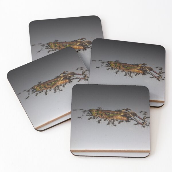 Item preview, Close up of dying grasshopper paraded by ants on the floor. designed and sold by Yusuf-Design.
