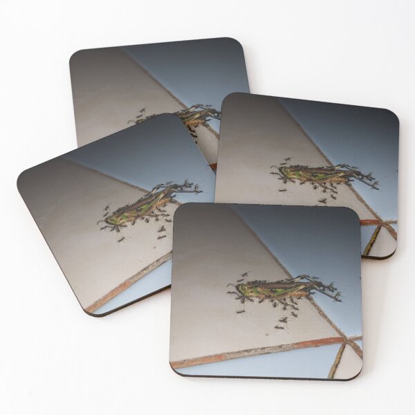 Item preview, Dead grasshopper paraded by ants on the floor. designed and sold by Yusuf-Design.
