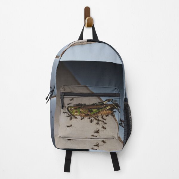 Item preview, Dead grasshopper paraded by ants on the floor. designed and sold by Yusuf-Design.