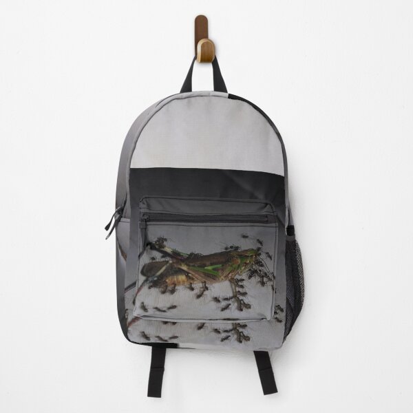 Item preview, Dying Grasshopper paraded by ants. designed and sold by Yusuf-Design.