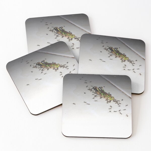 Item preview, A dying grasshopper surrounded by a group of black ants. designed and sold by Yusuf-Design.