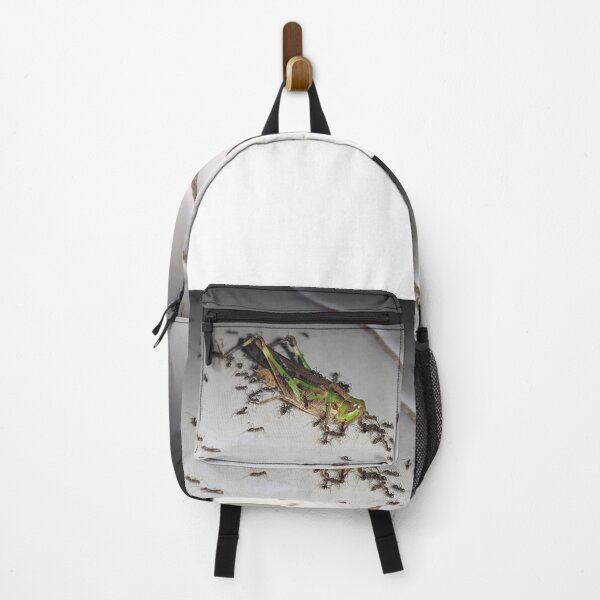 Item preview, A dying grasshopper surrounded by a group of black ants. designed and sold by Yusuf-Design.