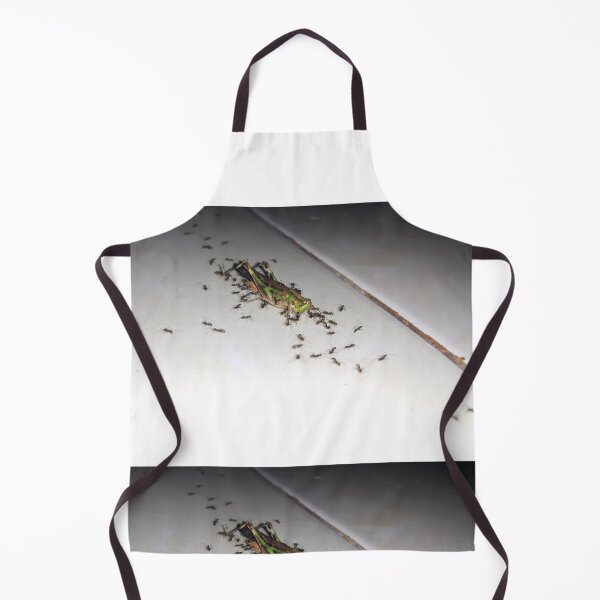 Item preview, A dying grasshopper surrounded by a group of black ants. designed and sold by Yusuf-Design.