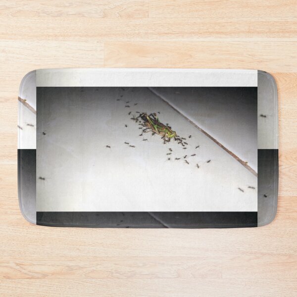 Item preview, A dying grasshopper surrounded by a group of black ants. designed and sold by Yusuf-Design.