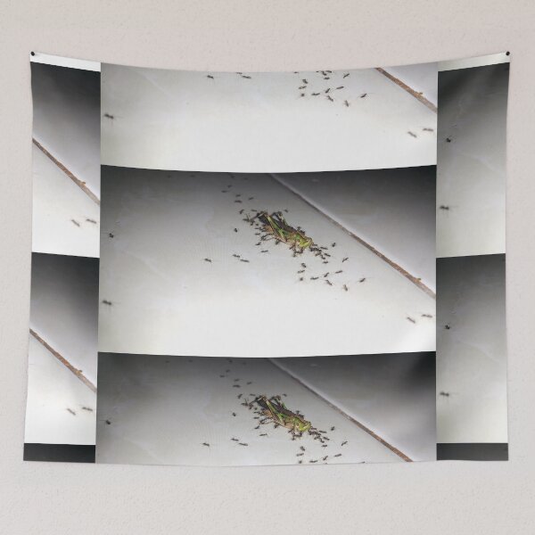 Item preview, A dying grasshopper surrounded by a group of black ants. designed and sold by Yusuf-Design.