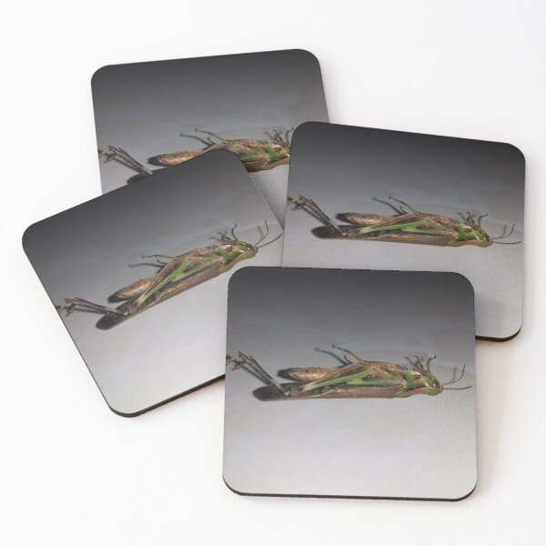Item preview, Dying Grasshopper on ceramic. designed and sold by Yusuf-Design.