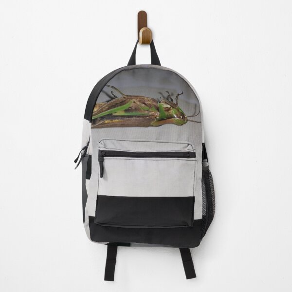 Item preview, Dying Grasshopper on ceramic. designed and sold by Yusuf-Design.