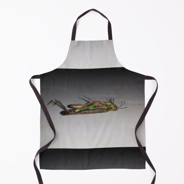 Item preview, Dying Grasshopper on ceramic. designed and sold by Yusuf-Design.