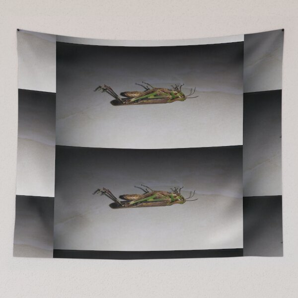 Item preview, Dying Grasshopper on ceramic. designed and sold by Yusuf-Design.