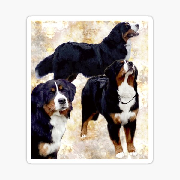 Item preview, Bernese mountain dog designed and sold by Hotpies!.