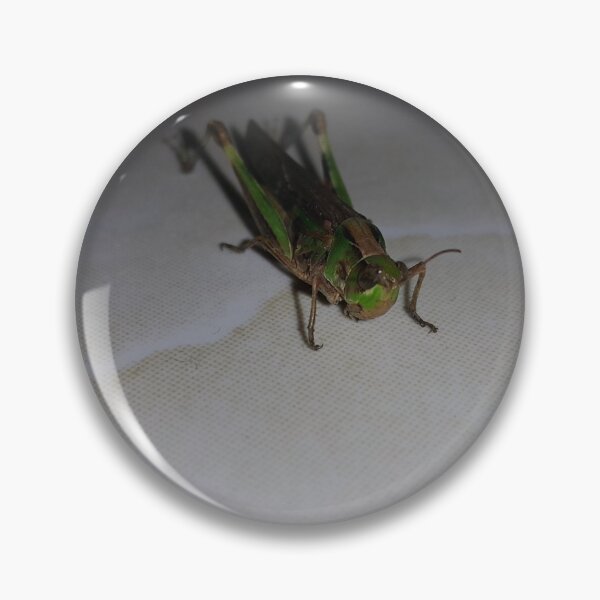 Item preview, Close up of Grasshopper on white ceramic.  designed and sold by Yusuf-Design.