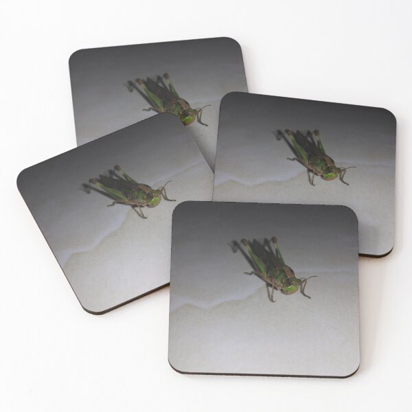 Item preview, Close up of Grasshopper on white ceramic.  designed and sold by Yusuf-Design.