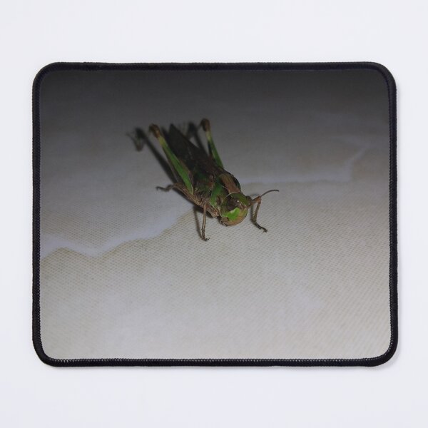 Item preview, Close up of Grasshopper on white ceramic.  designed and sold by Yusuf-Design.